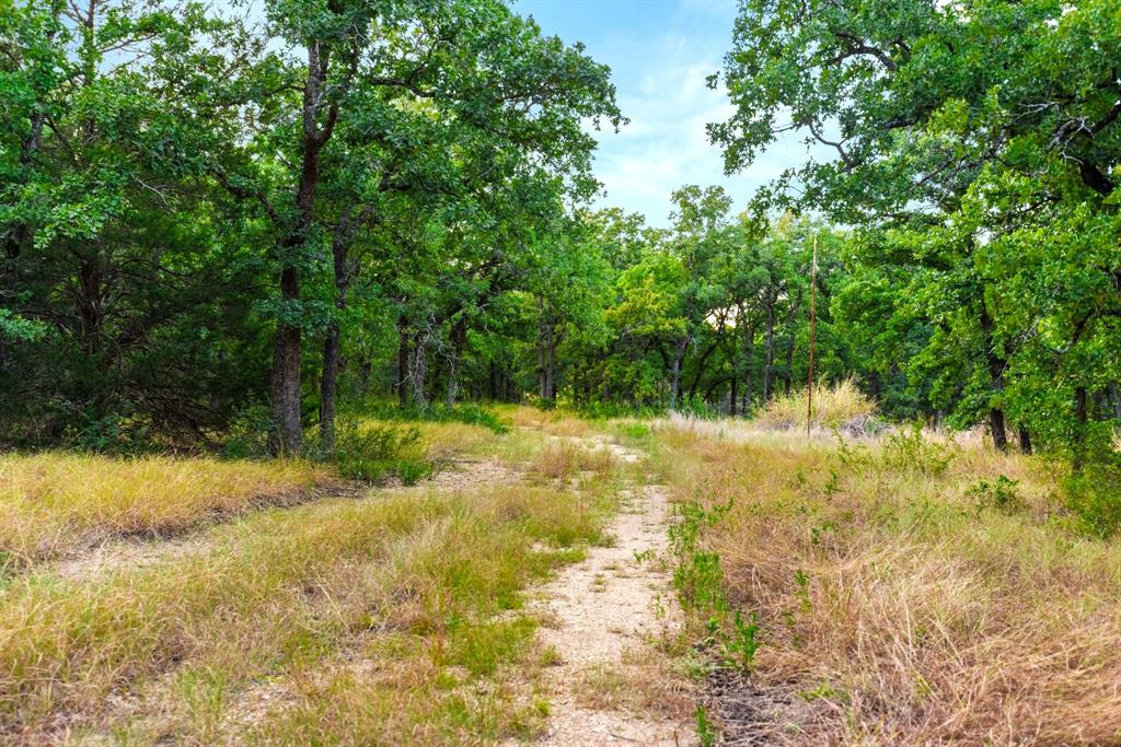 Longhorn Parkway & Highway 31 Property Photo 3