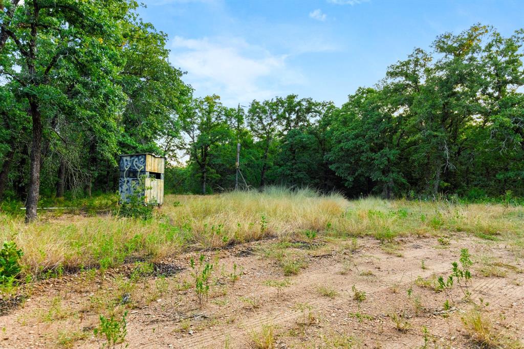 Longhorn Parkway & Highway 31 Property Photo 4