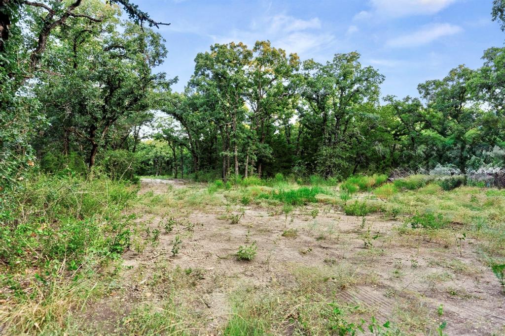 Longhorn Parkway & Highway 31 Property Photo 10