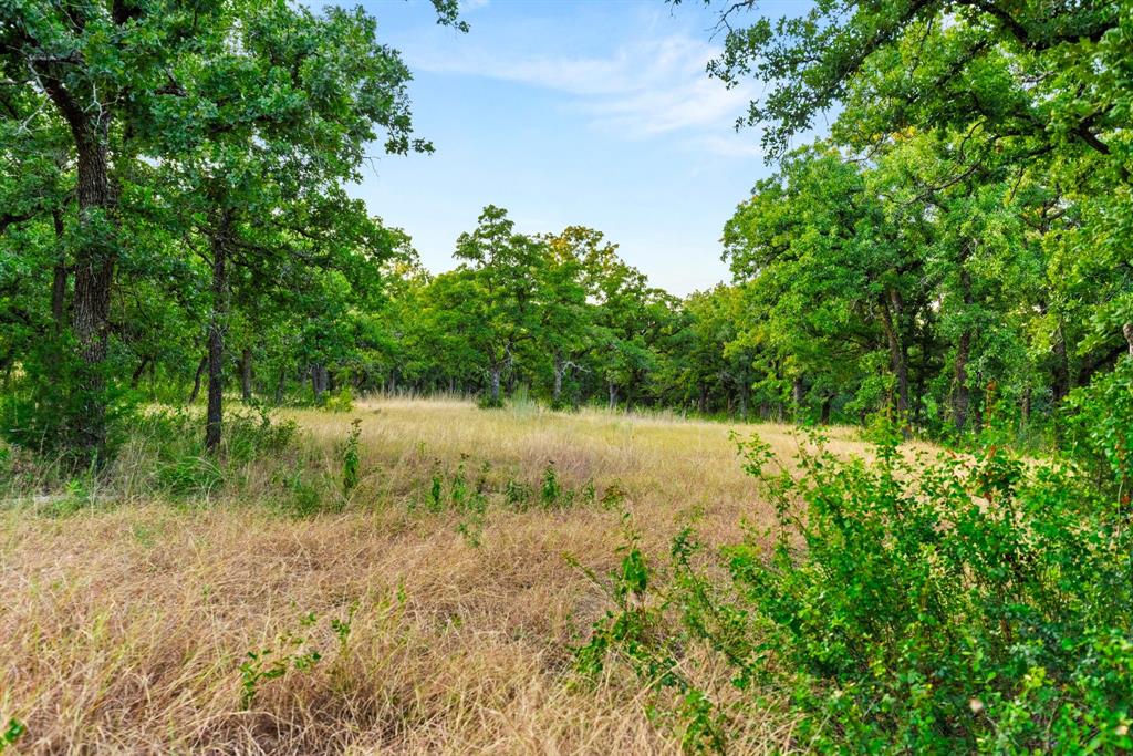 Longhorn Parkway & Highway 31 Property Photo 12