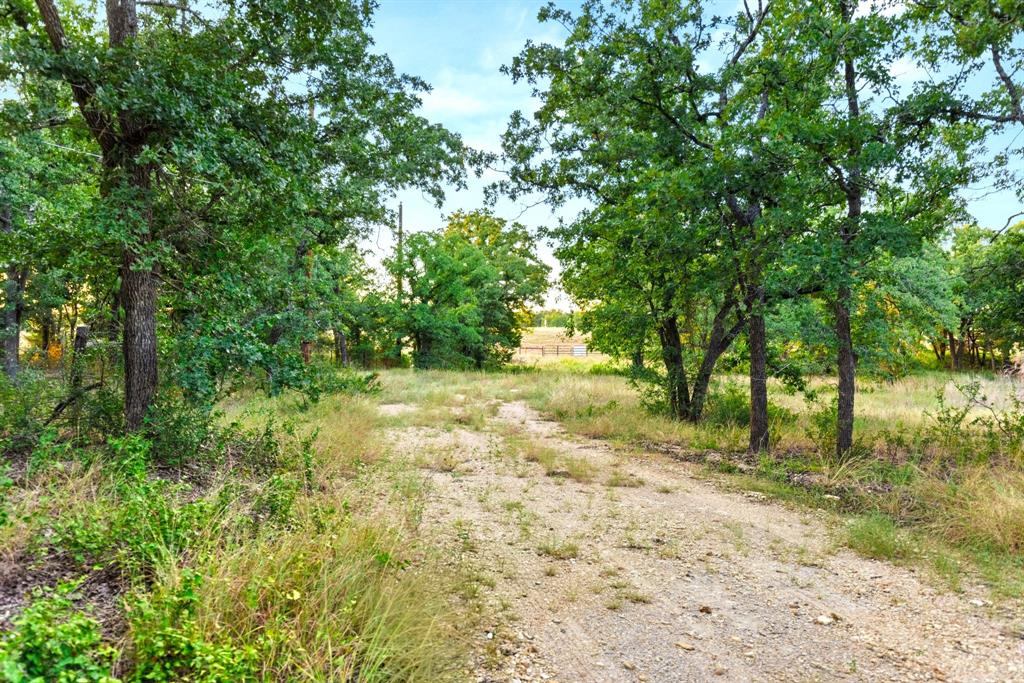 Longhorn Parkway & Highway 31 Property Photo 13