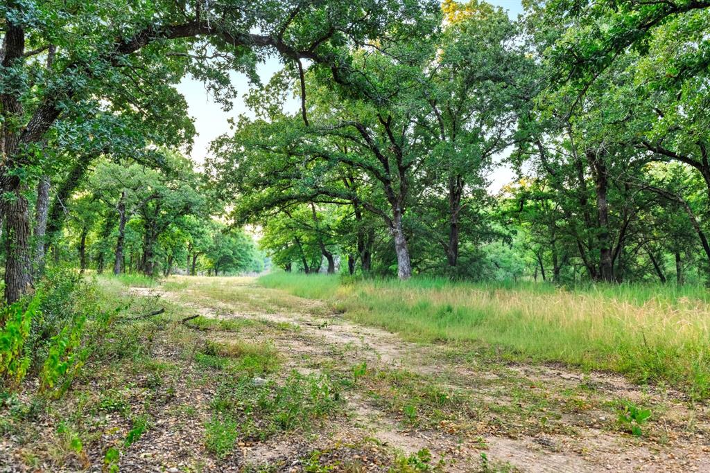 Longhorn Parkway & Highway 31 Property Photo 14