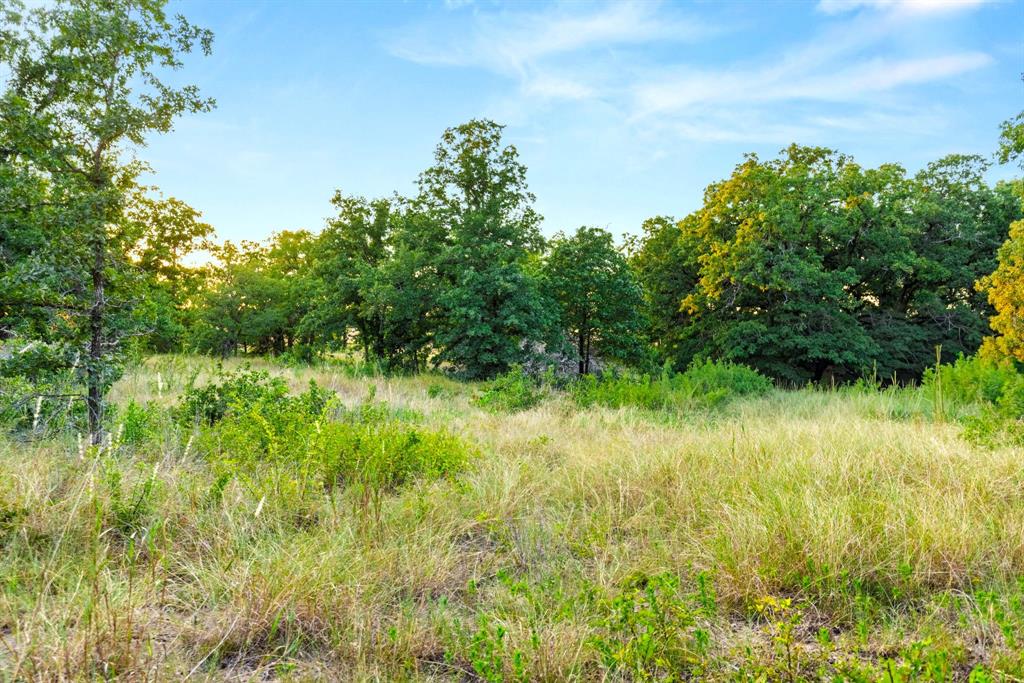 Longhorn Parkway & Highway 31 Property Photo 15