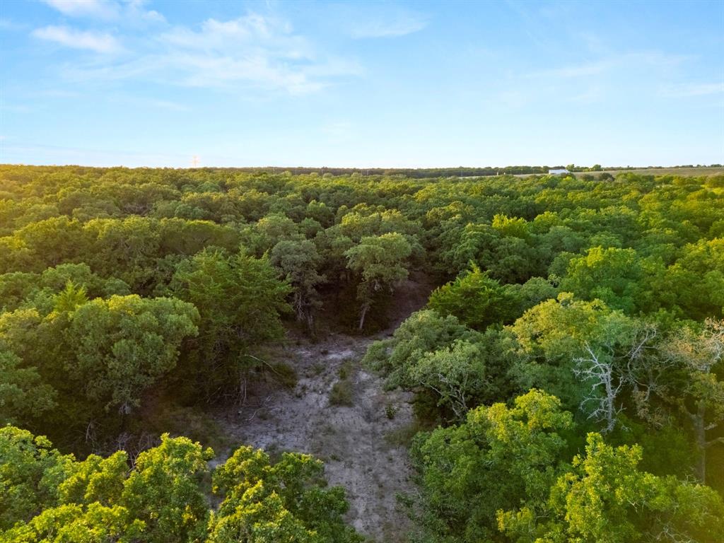 Longhorn Parkway & Highway 31 Property Photo 16