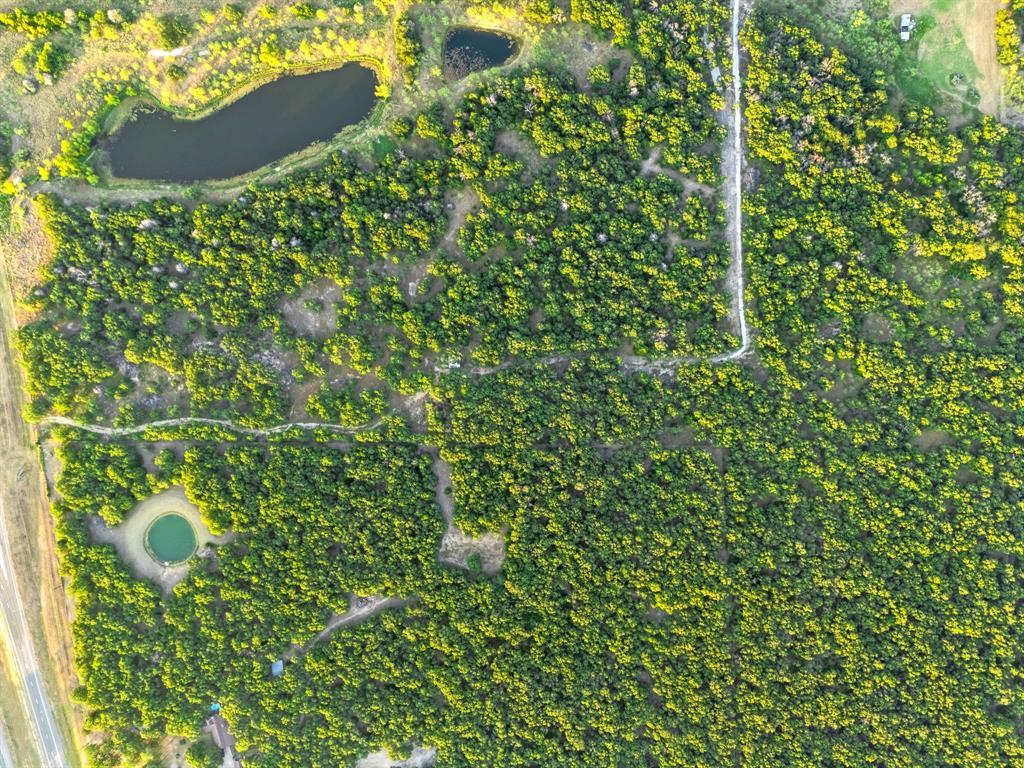 Longhorn Parkway & Highway 31 Property Photo 18