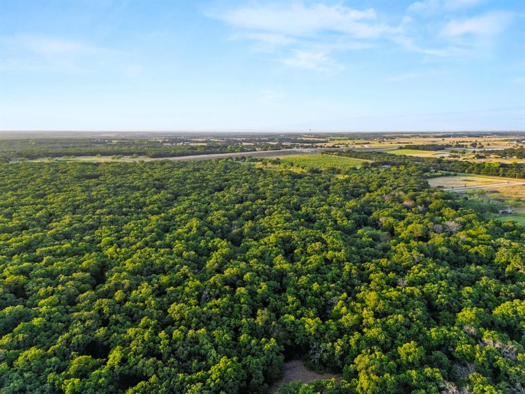 Longhorn Parkway & Highway 31 Property Photo 21