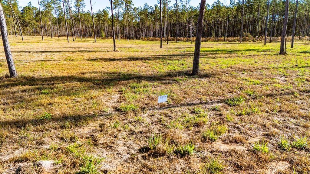 19 Big Buck Drive Property Photo 8