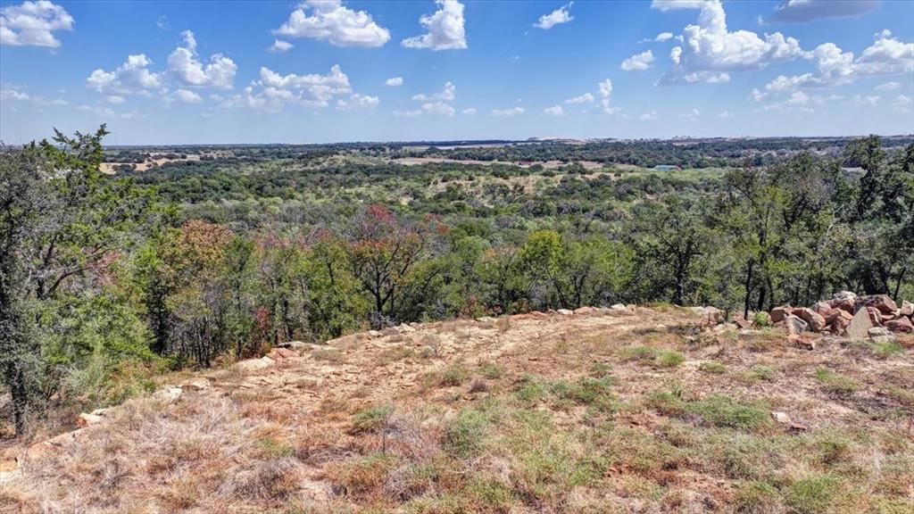 1045 Shiloh Sharps Landing Property Photo 1