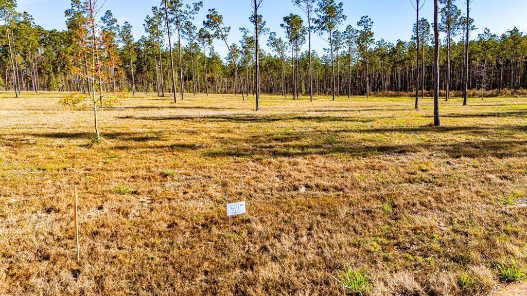 20 Big Buck Drive Property Photo 1