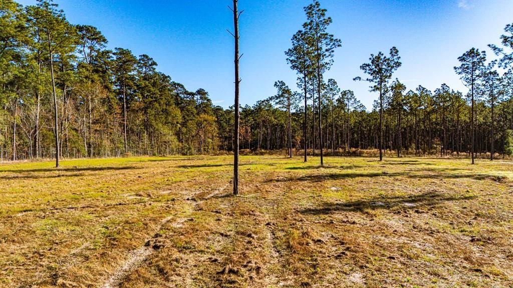 20 Big Buck Drive Property Photo 4