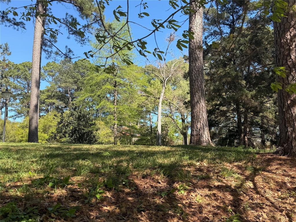 0 Loch Ridge Drive Property Photo 1