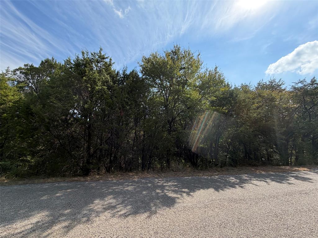 3633 Flint Rock Circle Property Photo 1