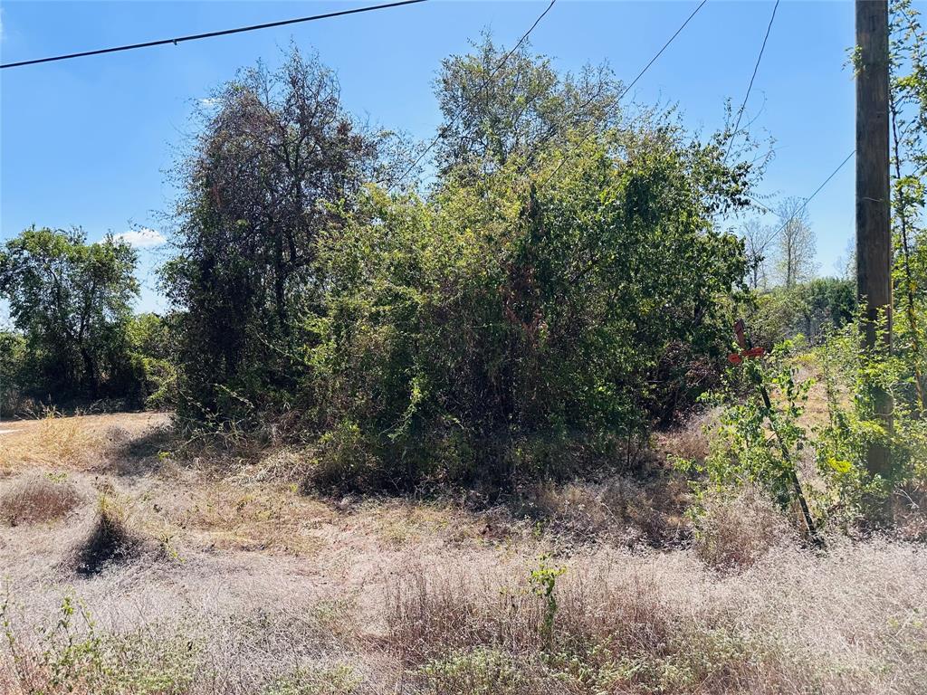 4300 Tejas Trail Property Photo 1