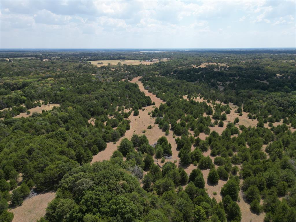 85 Ac County Road 1019 Property Photo 2