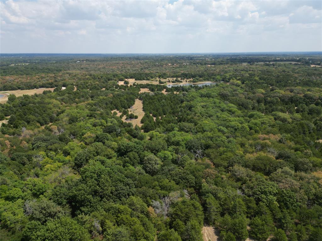 85 Ac County Road 1019 Property Photo 3