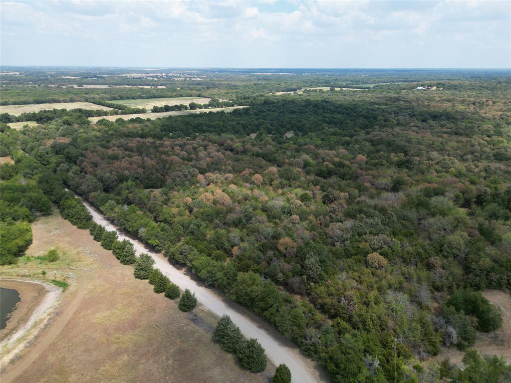 85 Ac County Road 1019 Property Photo 4