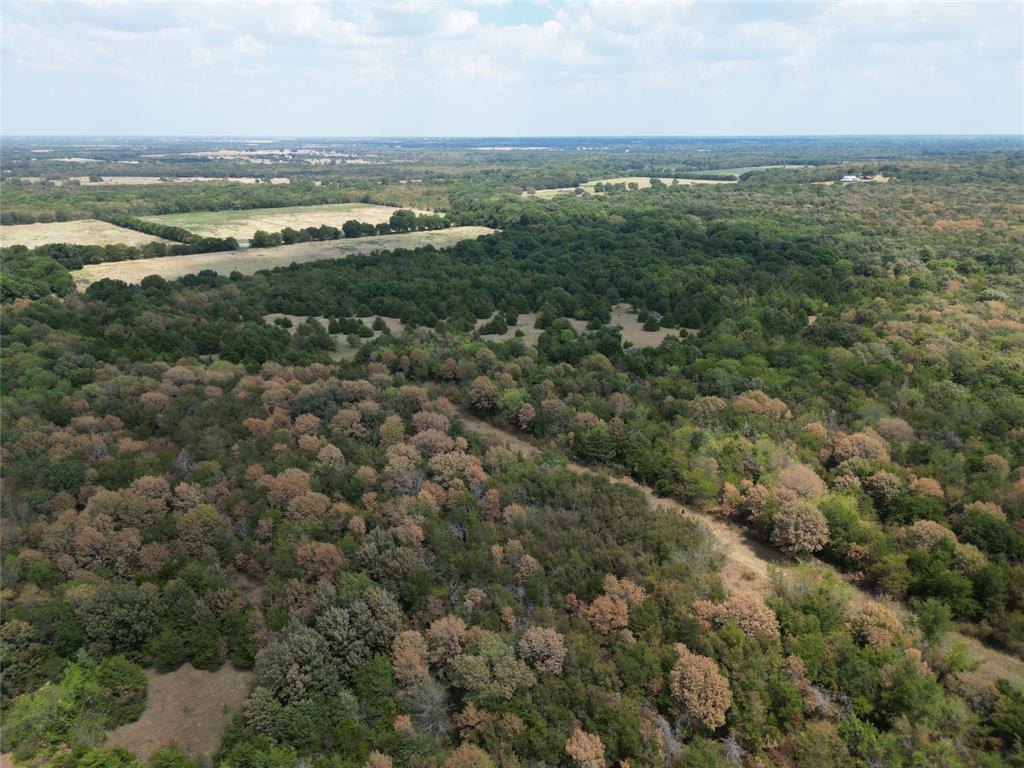 85 Ac County Road 1019 Property Photo 6