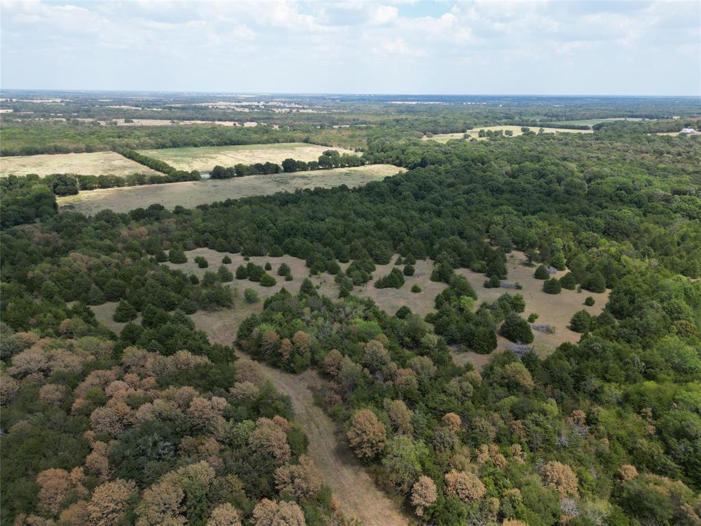 85 Ac County Road 1019 Property Photo 7