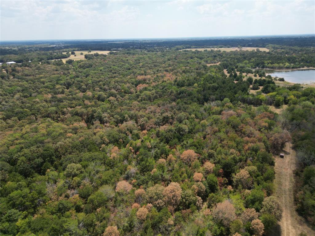 85 Ac County Road 1019 Property Photo 8