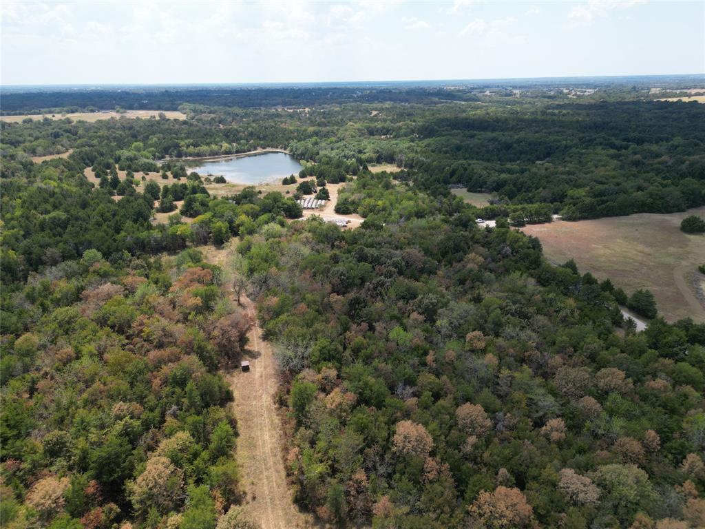 85 Ac County Road 1019 Property Photo 9