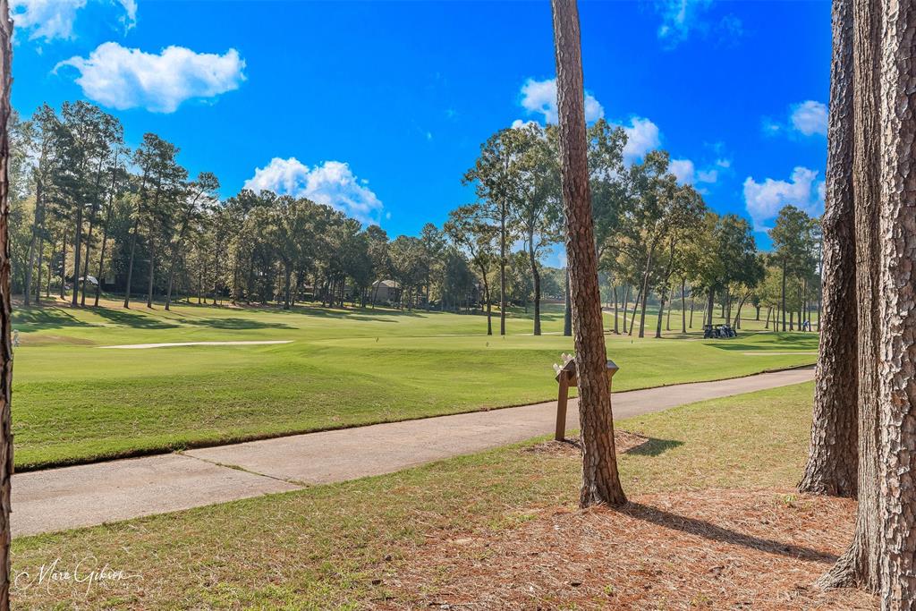 10690 Longfellow Trace Property Photo 19
