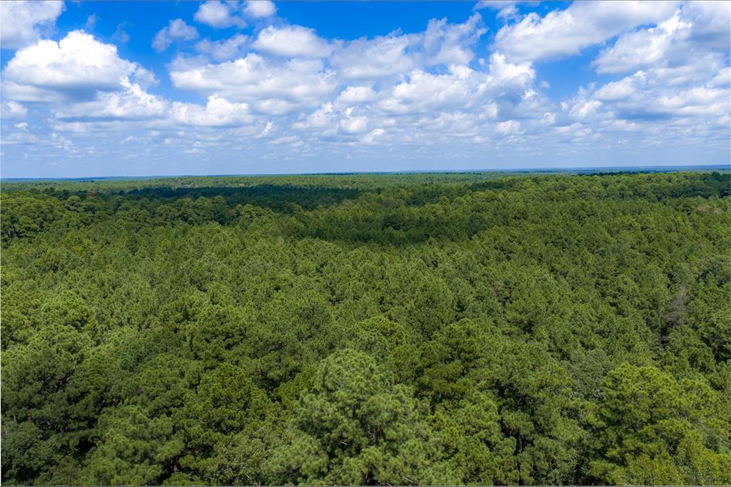 Ne Off Of Fm 227 Property Photo 1