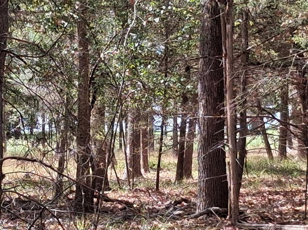 Tbd Hideaway Property Photo 1