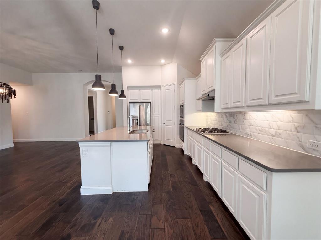 16204 Cullen Park Way Property Photo 6