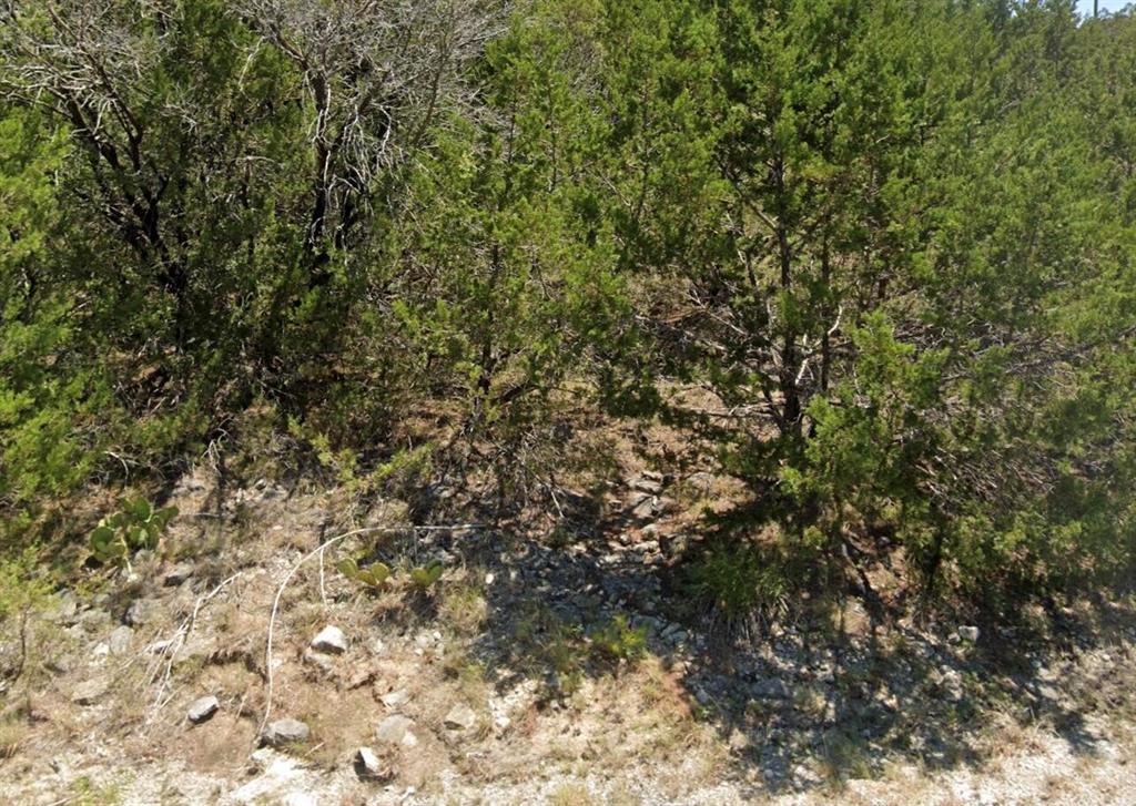 4705 Evening View Drive Property Photo 1