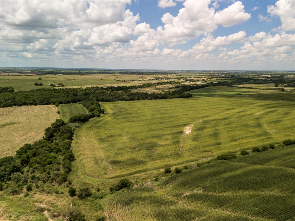11 Acres County Rd 3150 Property Photo 12