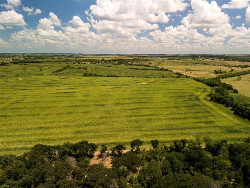 11 Acres County Rd 3150 Property Photo 17
