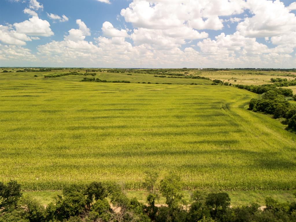 11 Acres County Rd 3150 Property Photo 19