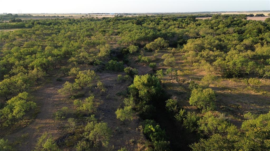 801 State Highway 153 Property Photo 4