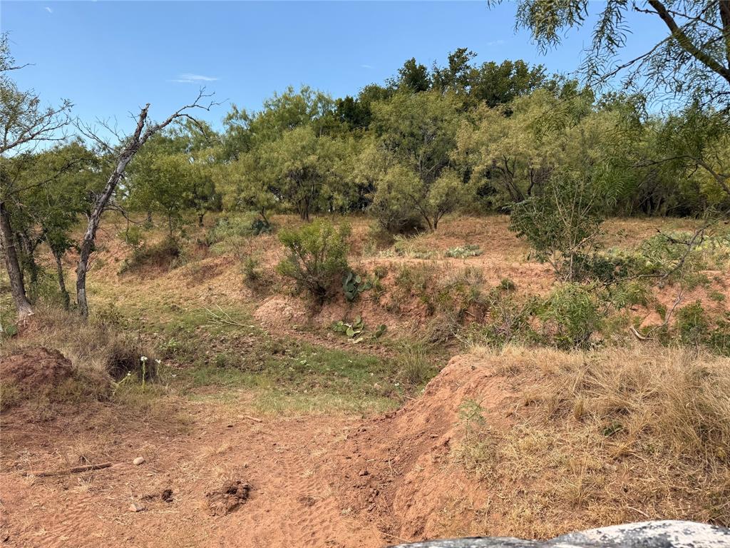 801 State Highway 153 Property Photo 30