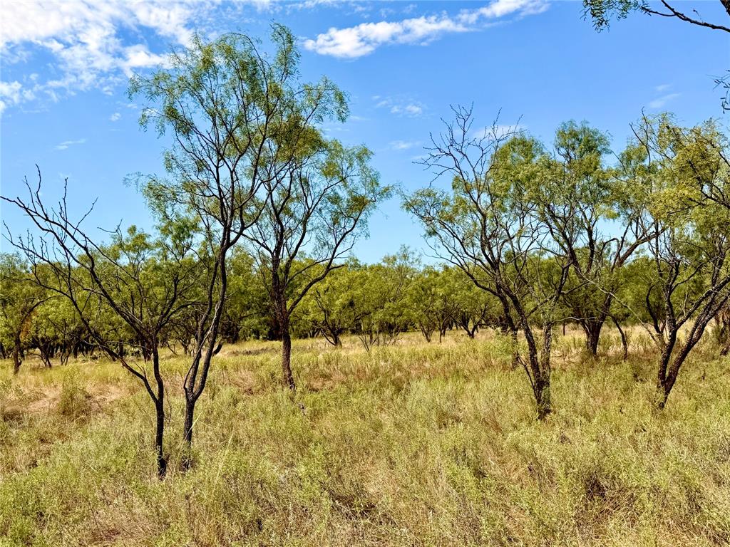 801 State Highway 153 Property Photo 32