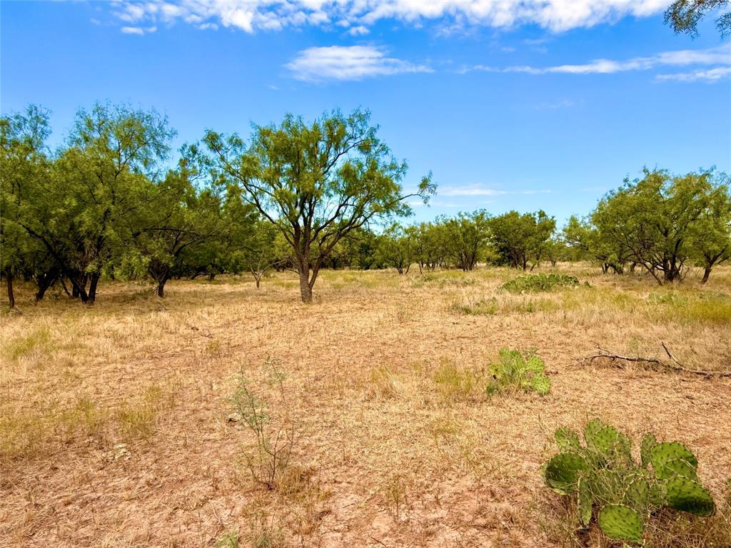 801 State Highway 153 Property Photo 33