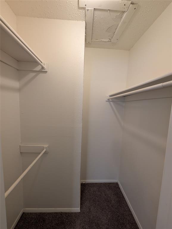 7431 Holly Hill Drive 204 Property Photo 14