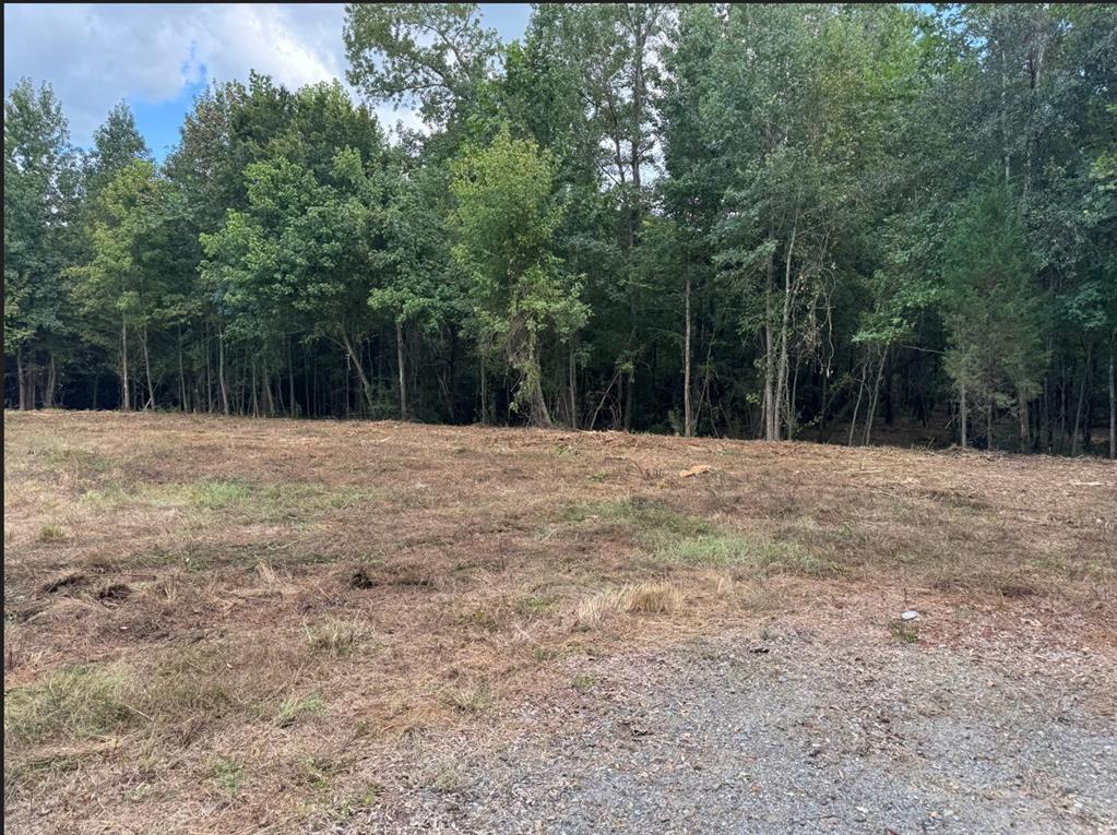 0 Hwy 172 Property Photo 1