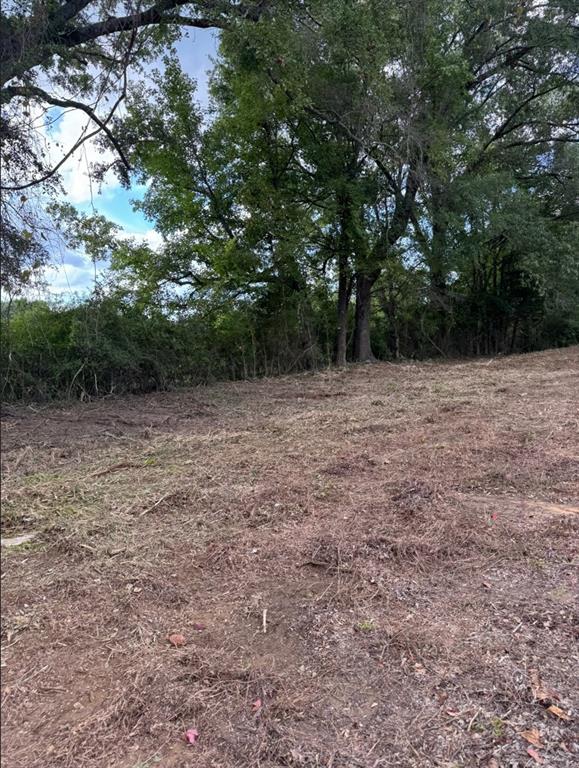 0 Hwy 172 Property Photo 2