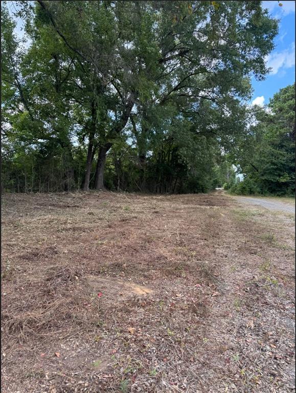 0 Hwy 172 Property Photo 3