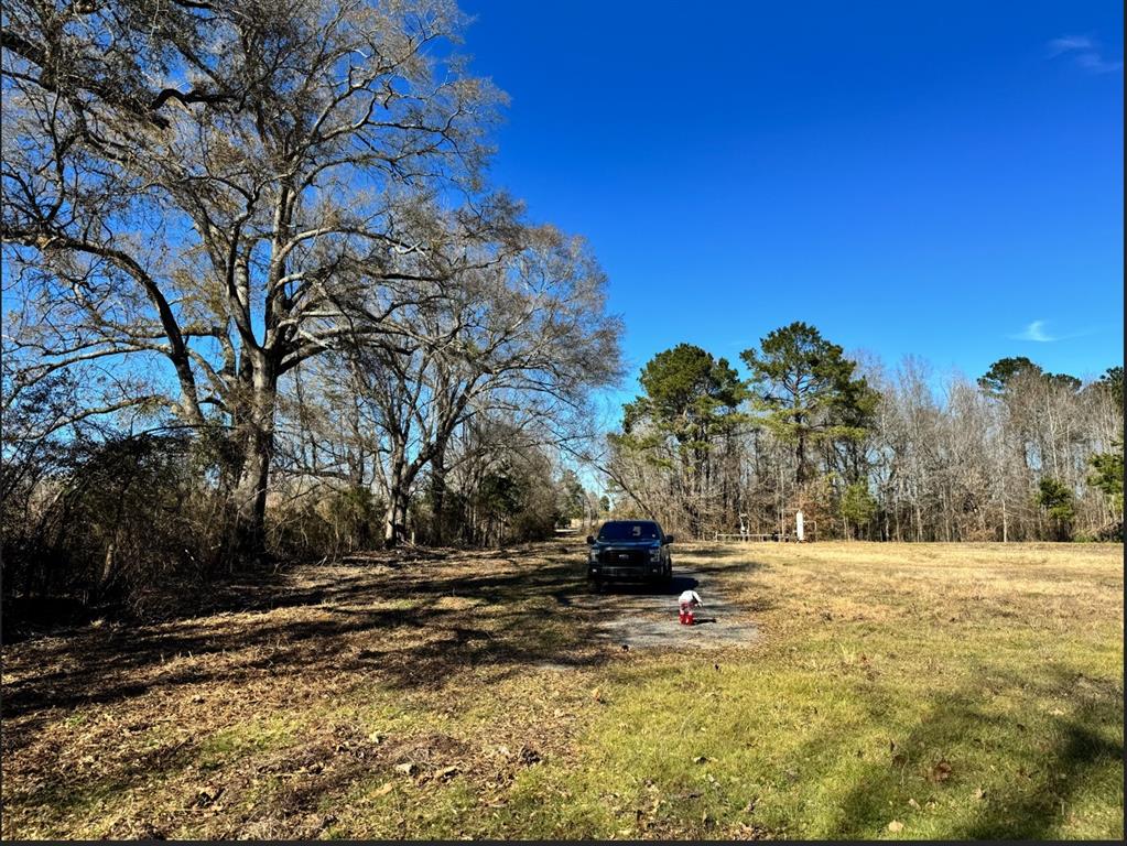 0 Hwy 172 Property Photo 10