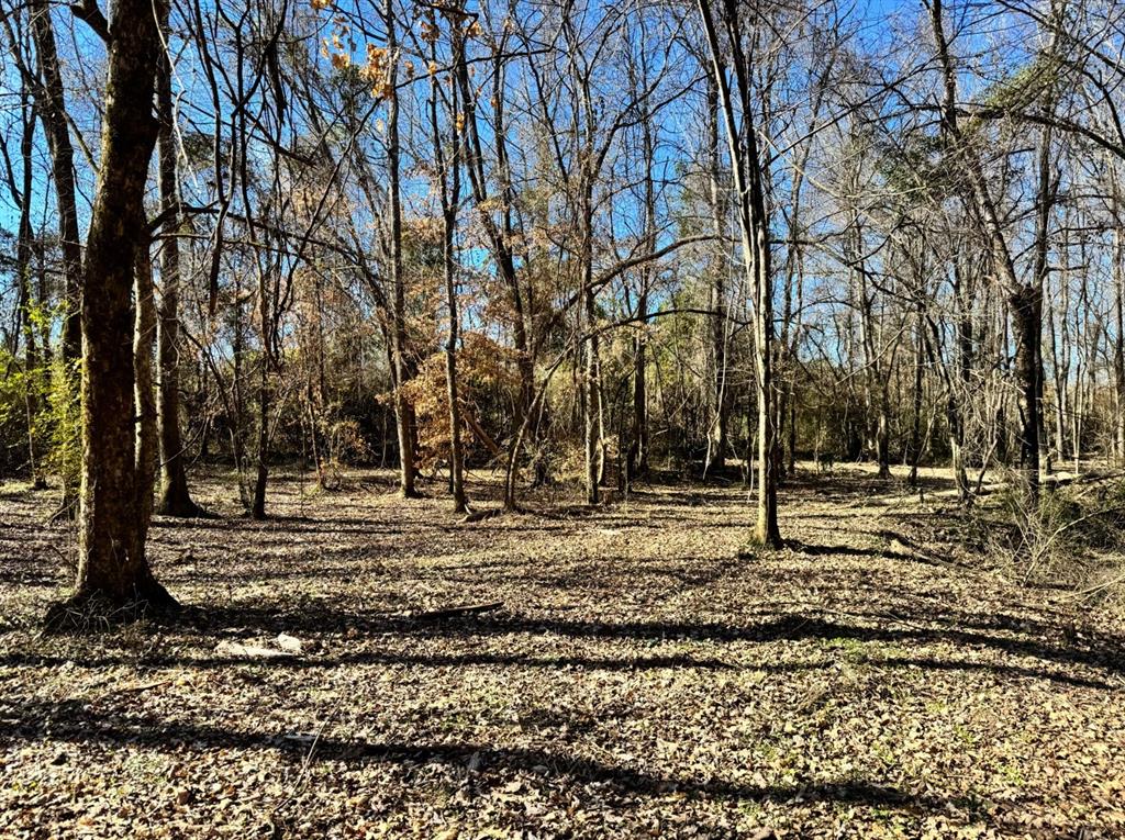 0 Hwy 172 Property Photo 12