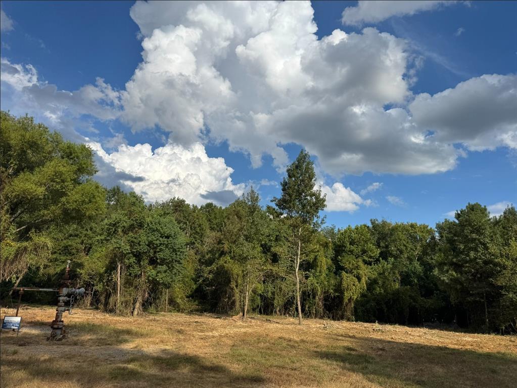0 Hwy 172 Property Photo 16