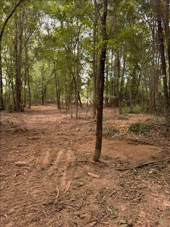 0 Hwy 172 Property Photo 17