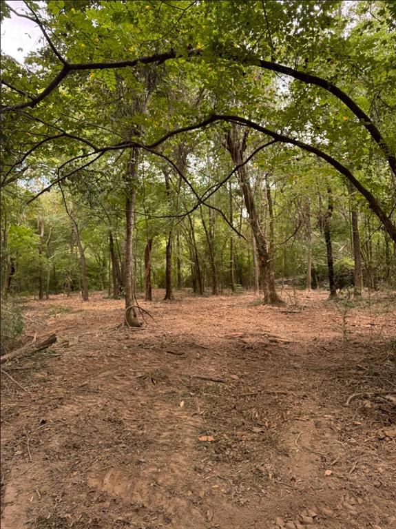 0 Hwy 172 Property Photo 18