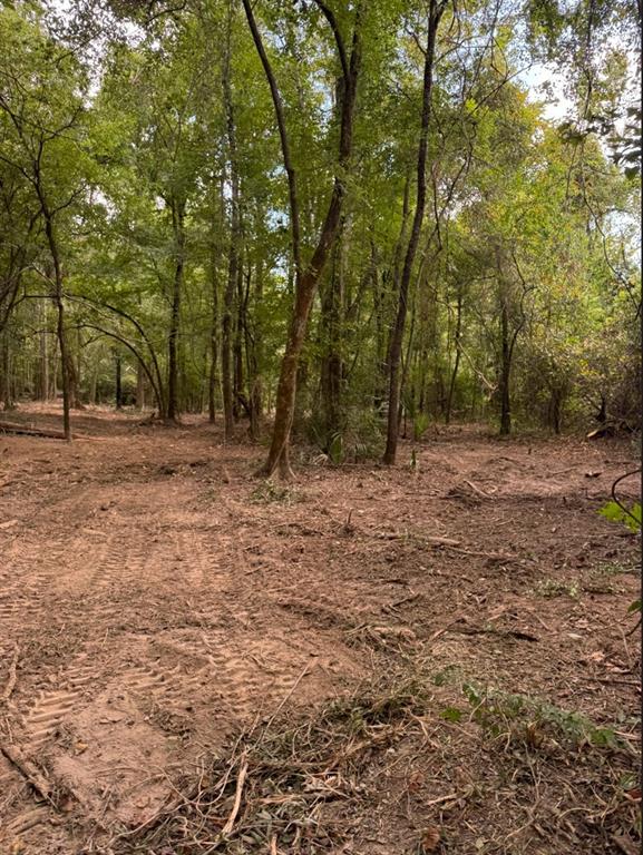 0 Hwy 172 Property Photo 19