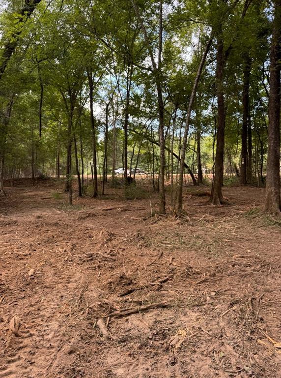 0 Hwy 172 Property Photo 20