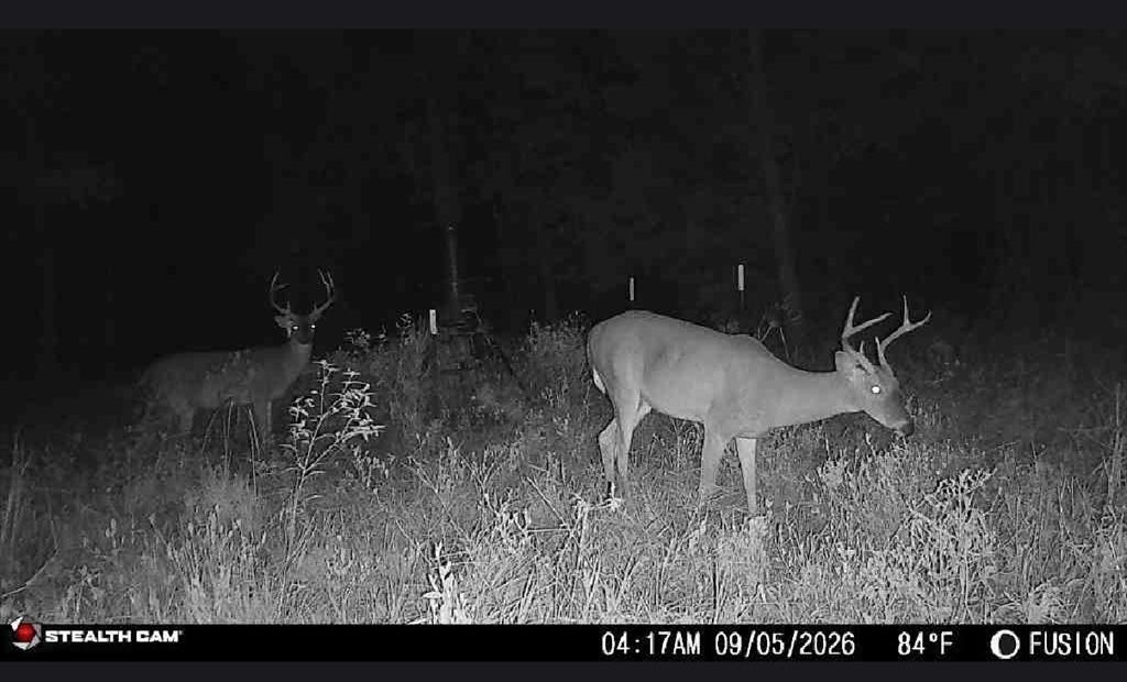 0 Hwy 172 Property Photo 22
