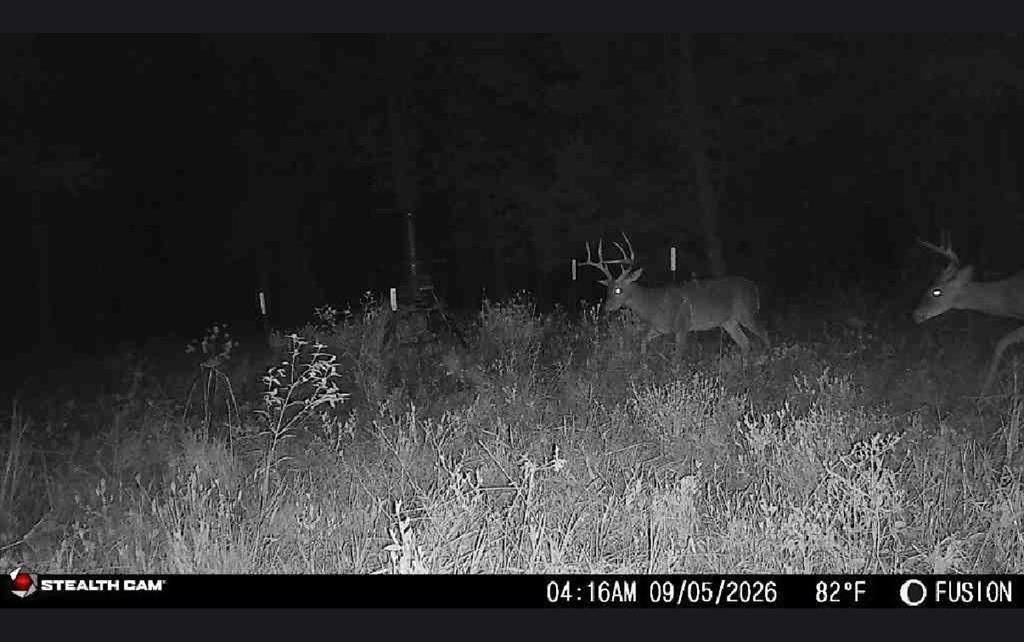 0 Hwy 172 Property Photo 24