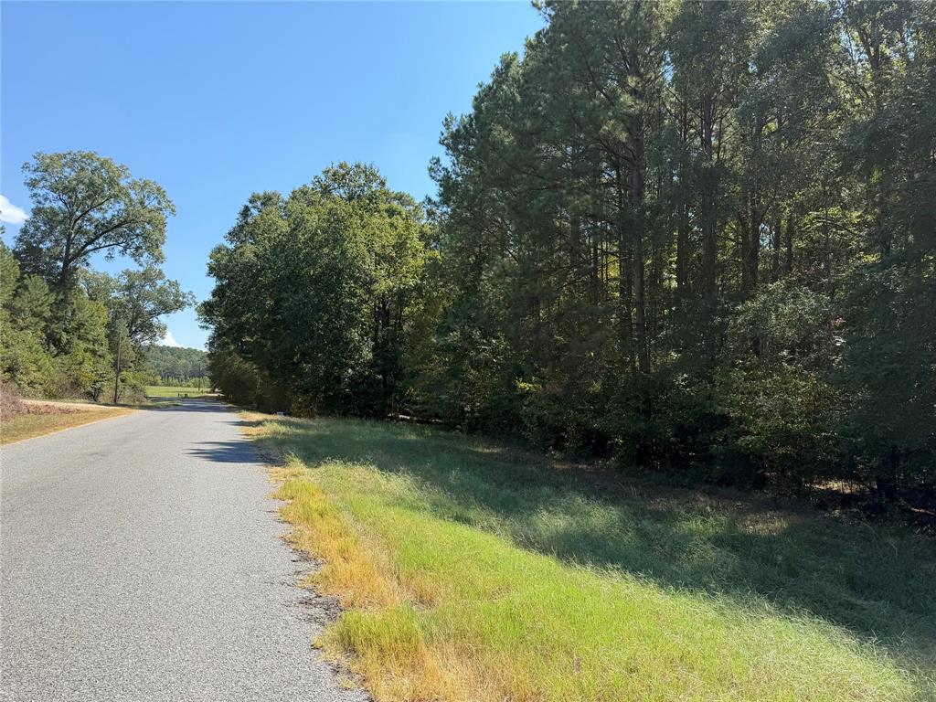 0005 Airline Road Property Photo 1